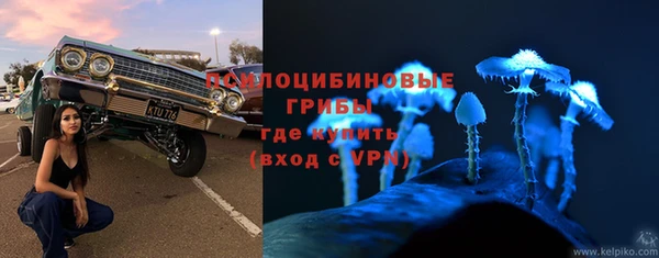 a pvp Абинск