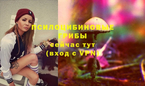 ПСИЛОЦИБИНОВЫЕ ГРИБЫ Абаза