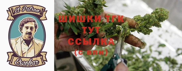 ПСИЛОЦИБИНОВЫЕ ГРИБЫ Абаза