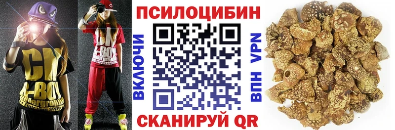 mega tor  Лысково  Псилоцибиновые грибы ЛСД 